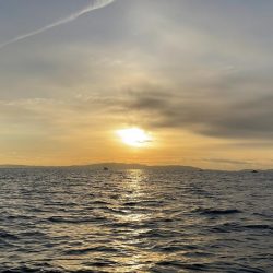 冬の播磨灘沖へタイラバ